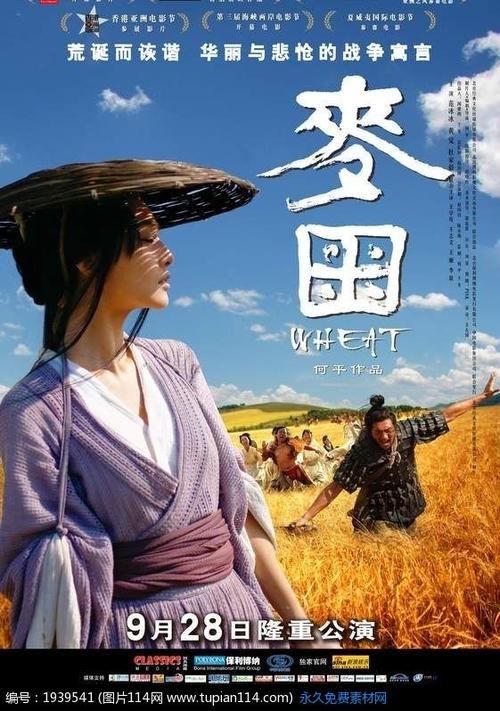 t-仿制假印度尼西亚ID